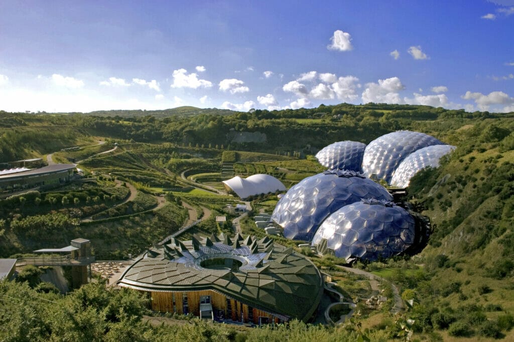 eden project tamsyn lewis