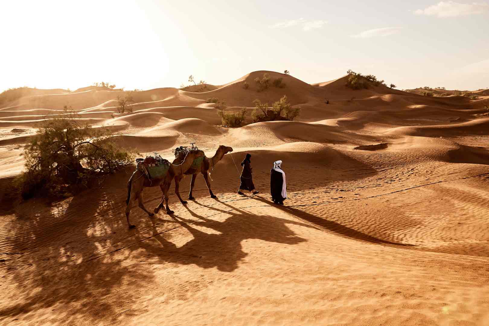 beautiful shot of people walking with their camels 2023 01 19 20 36 34 utc