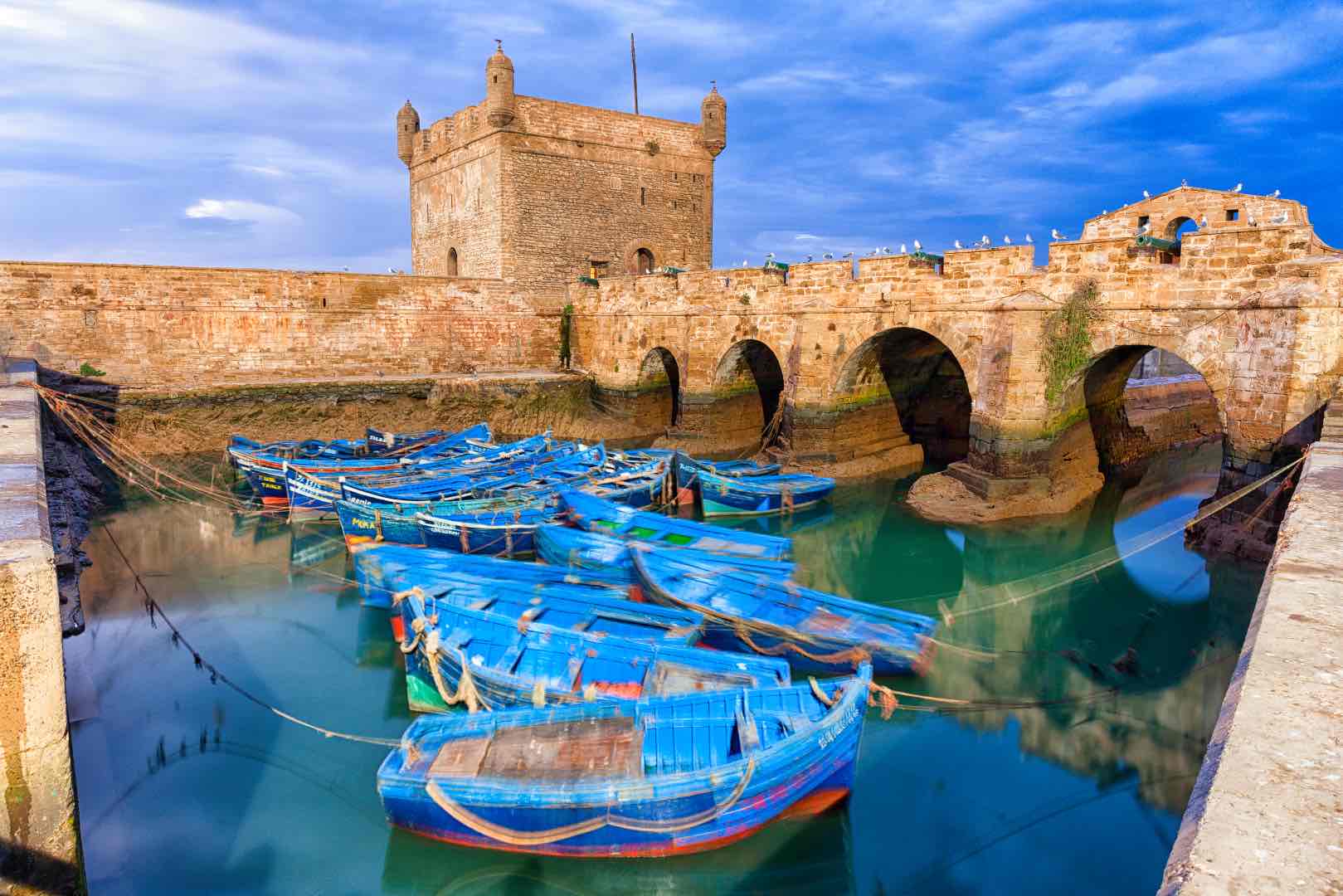 morocco essaouira blue fishing boats in the harb 2022 12 16 22 08 33 utc