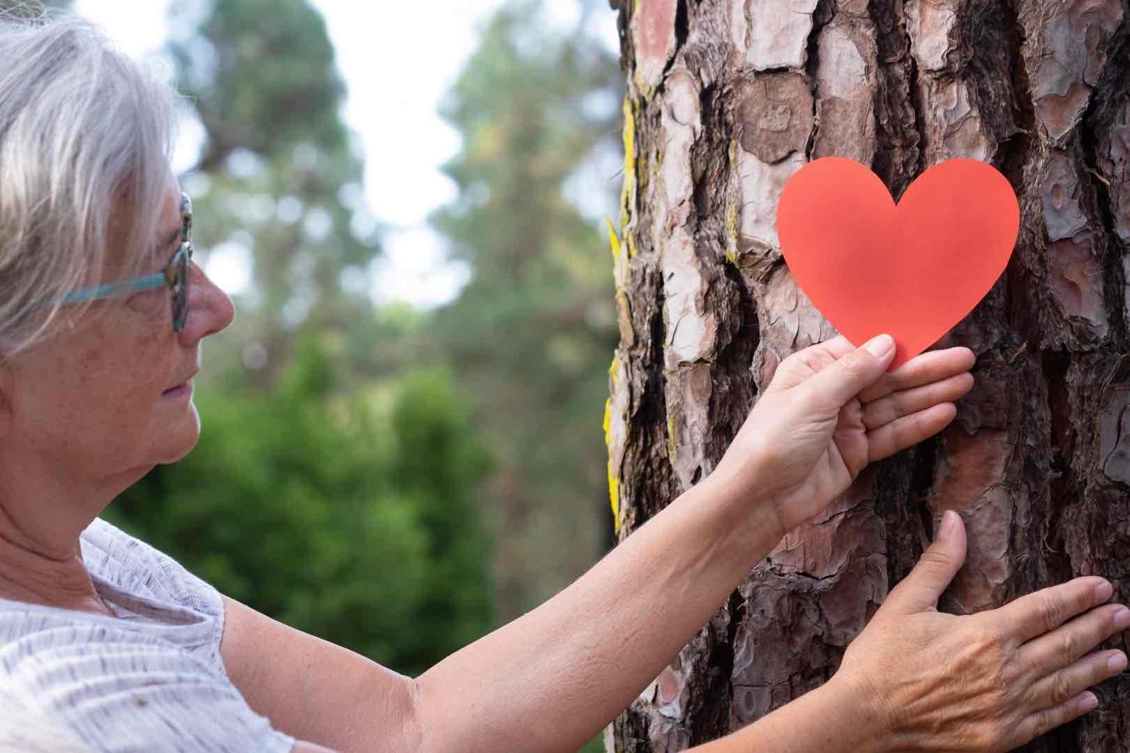 adult woman hand in the woods puts a heart shape o 2021 09 01 02 50 21 utc