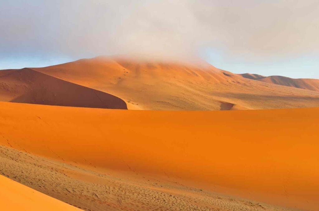 The Namib