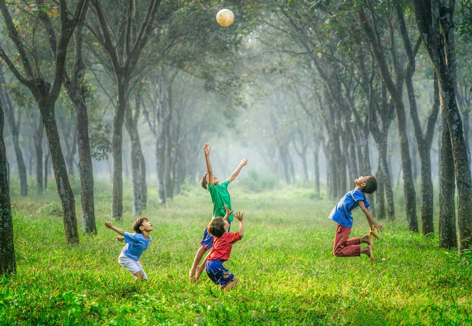 FAMILY FUN WITH BALL