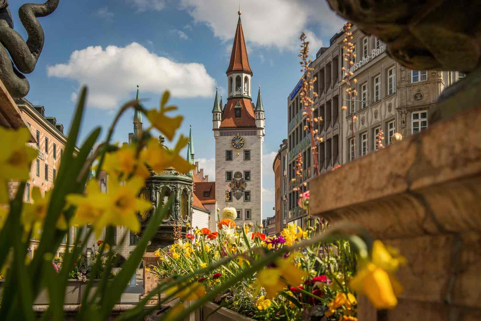 alstadt munich