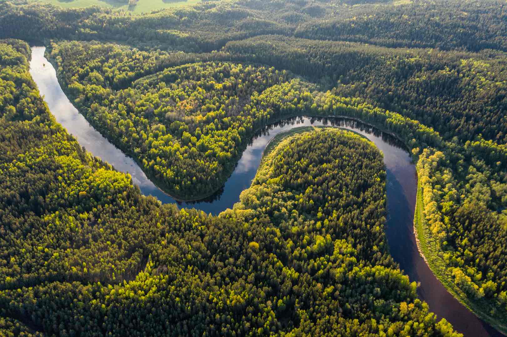 exploring the amazon