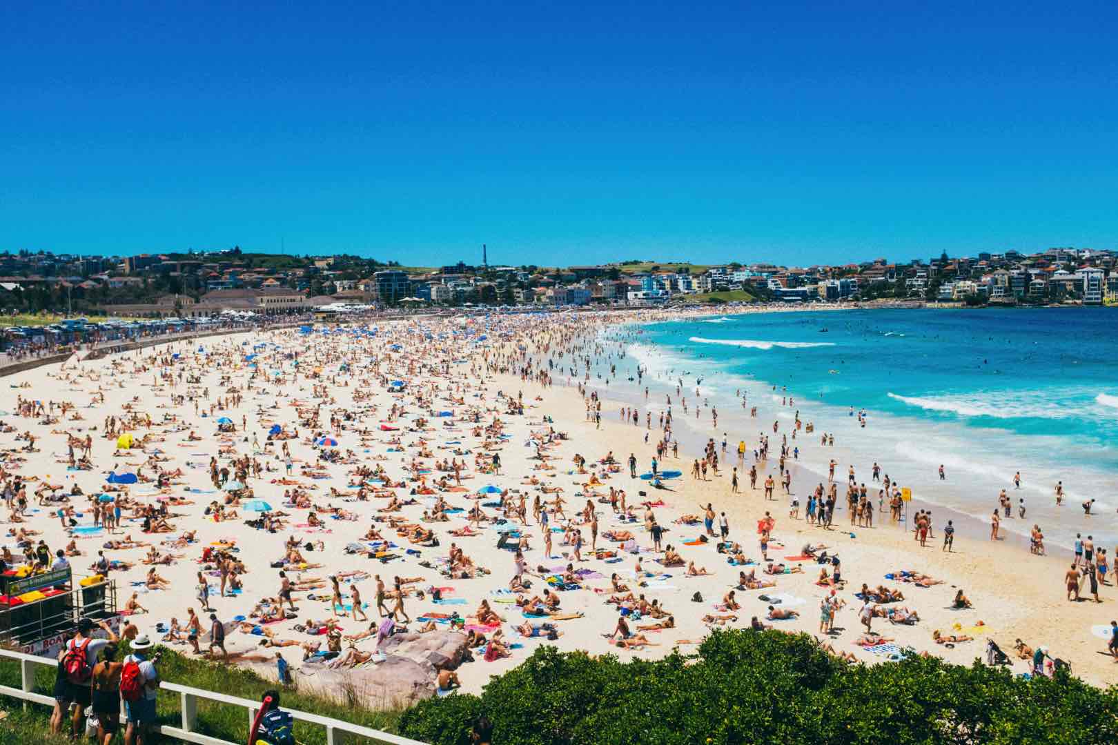 A packed Bondi Beach