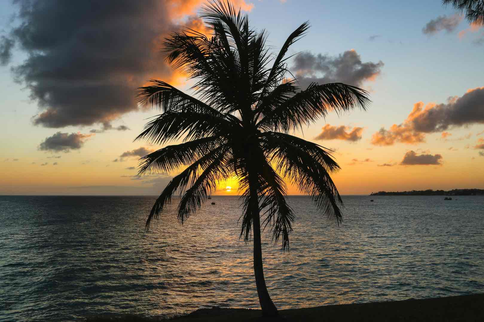 Barbados Sunset