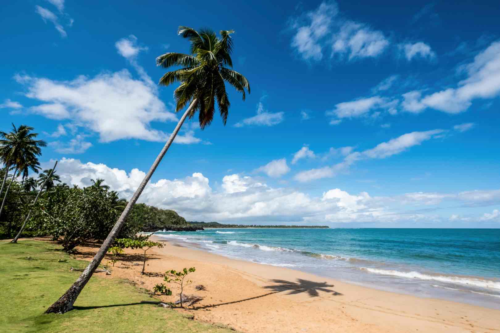 Dominican Republic Coastline