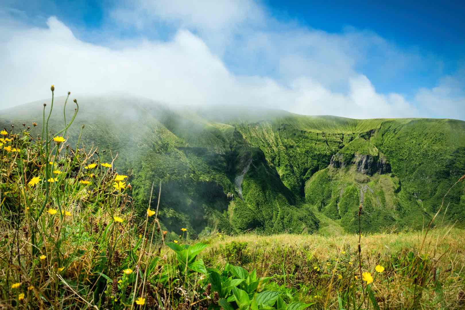 Azores in Springtime