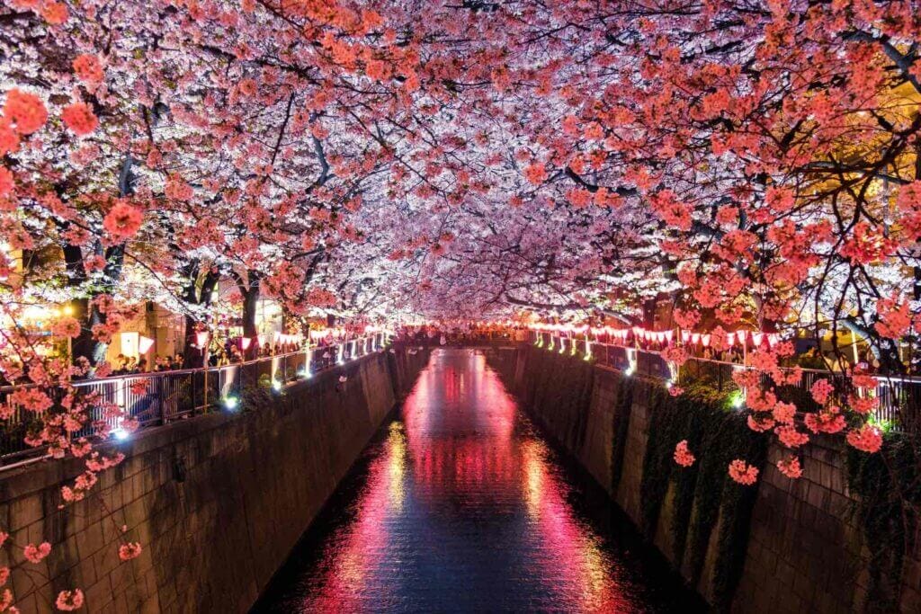 Meguro River, Matsuno, Japan