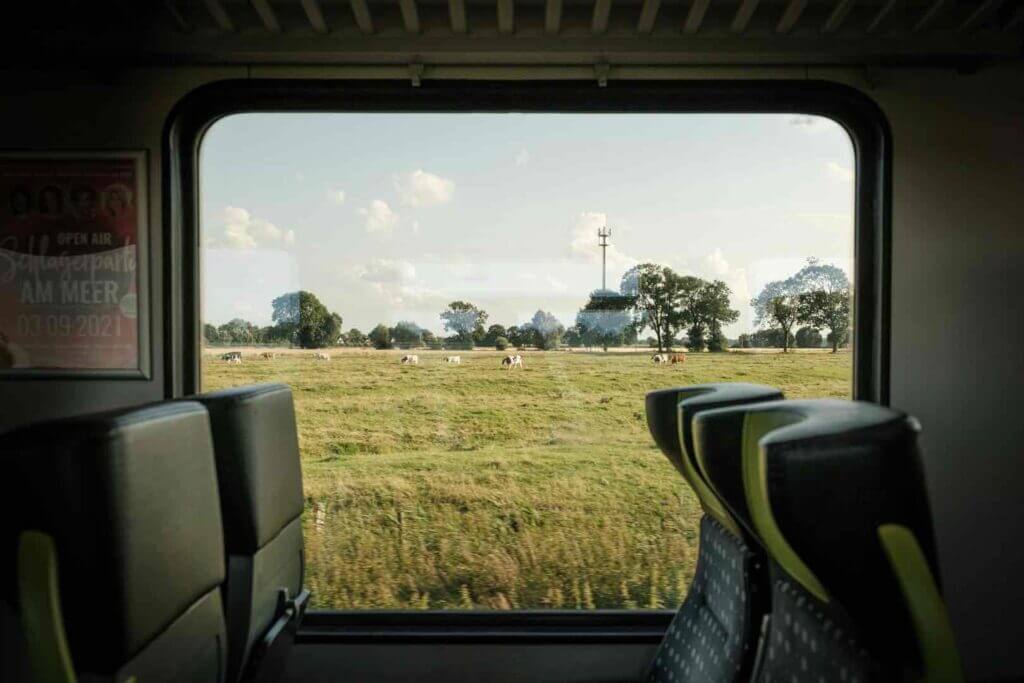 View from train at field with cows at sunny day in Germany.