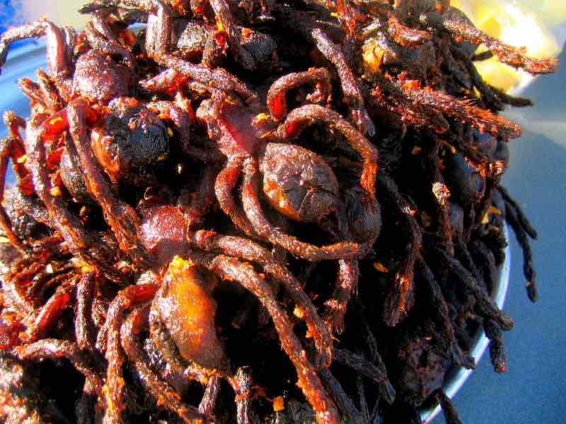 Deep Fried Tarantula