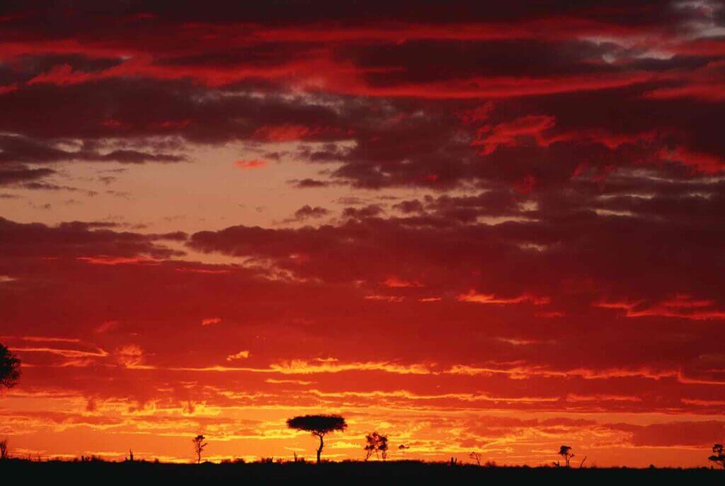 Masai Mara