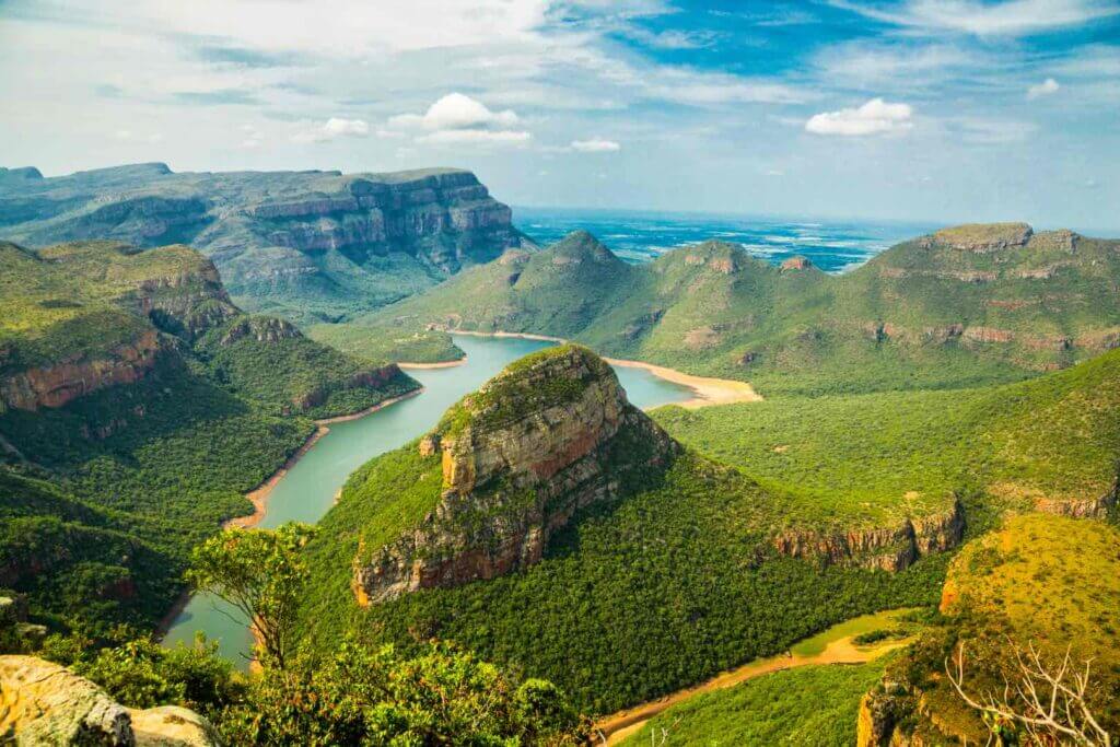 Rainforest in South Africa