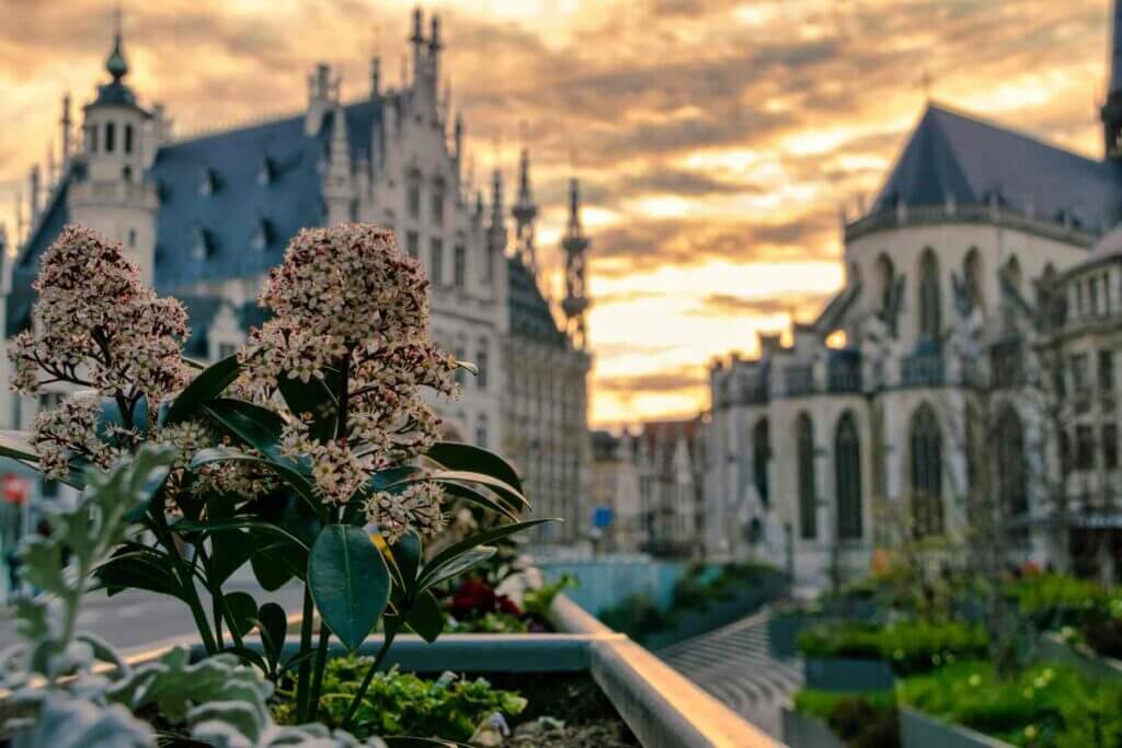 Rector De Somerplein, Leuven, Belgium