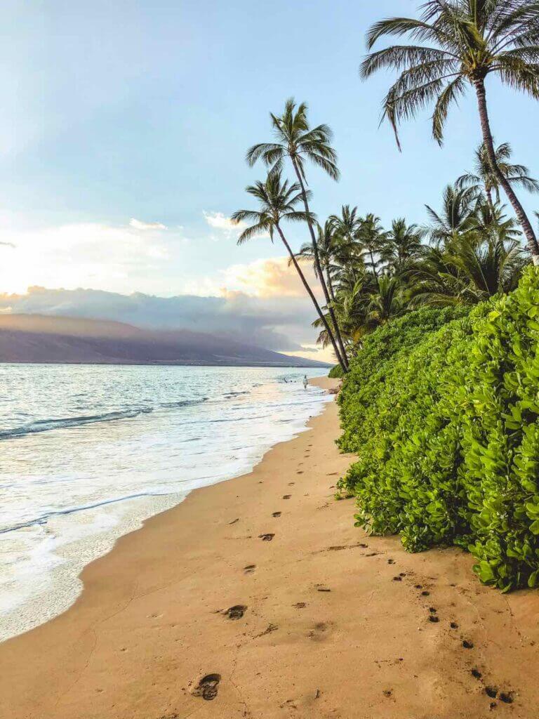 Maui, Hawaii, USA