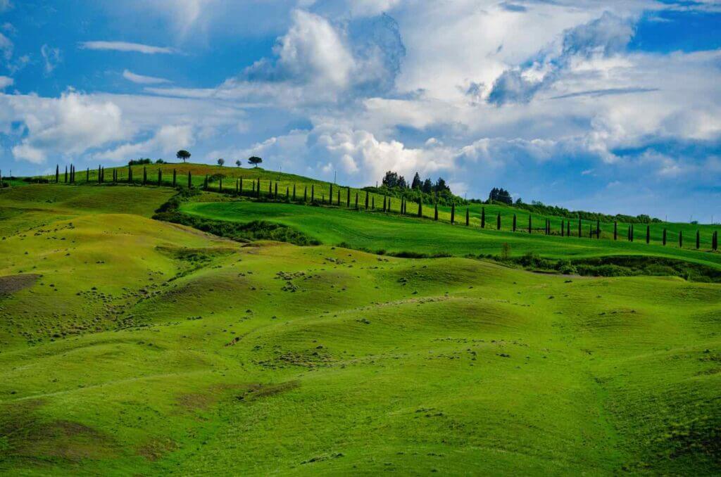 Rolling Hills of Tuscany