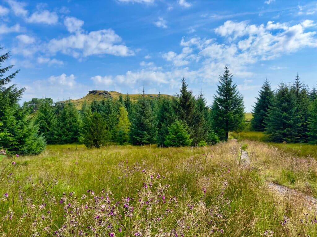 Beauty is found everywhere in Bowland