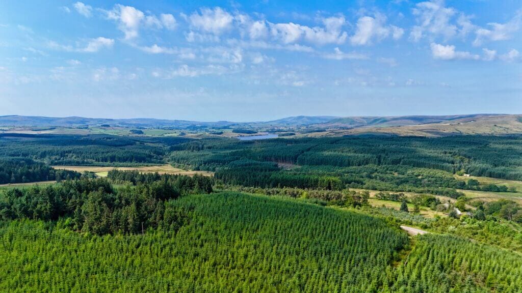 Forest of Bowland