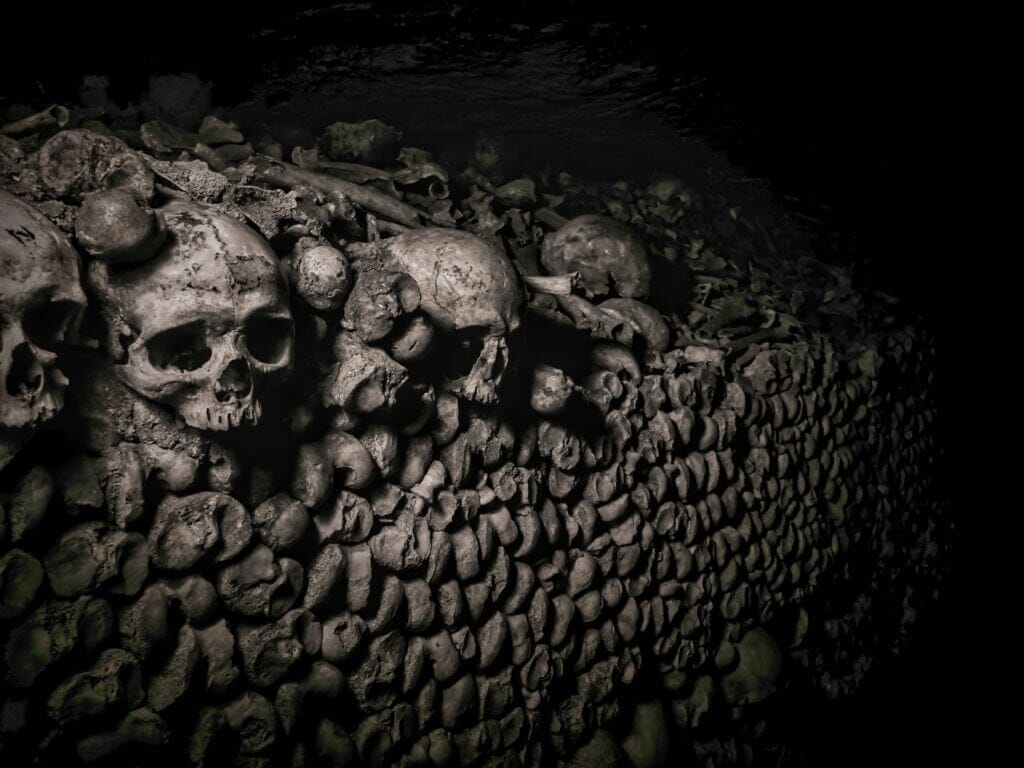 Paris Catacombs - Bones