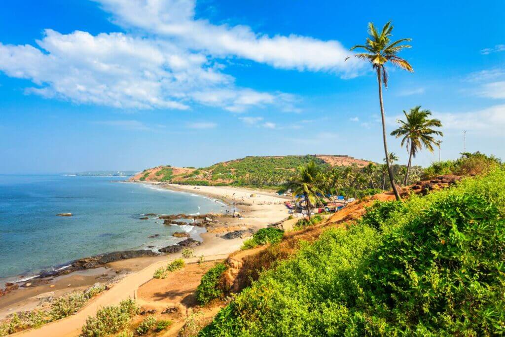 Typical View in Goa