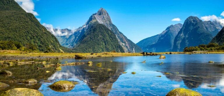 Beauty wherever you look in New Zealand