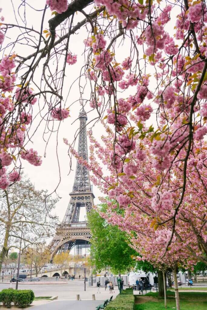 Spring in Paris? I mean, look!