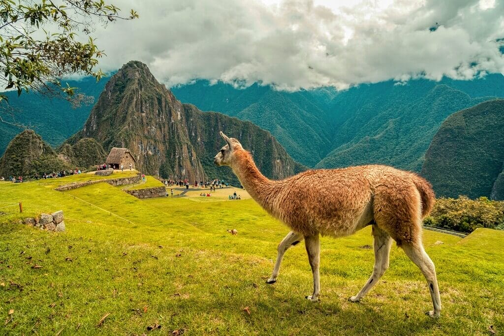 Peru Travel Tips For First-Timers: How to Eat, Trek & Travel Like a Local 🇵🇪