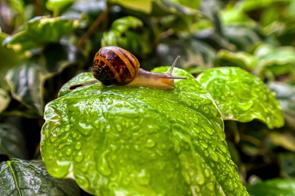 October Slow Travel Trend