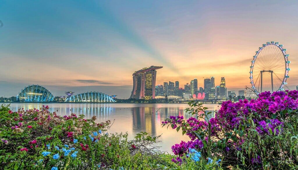 Essential Travel Tips for Visiting Singapore- Everything You Need to Know